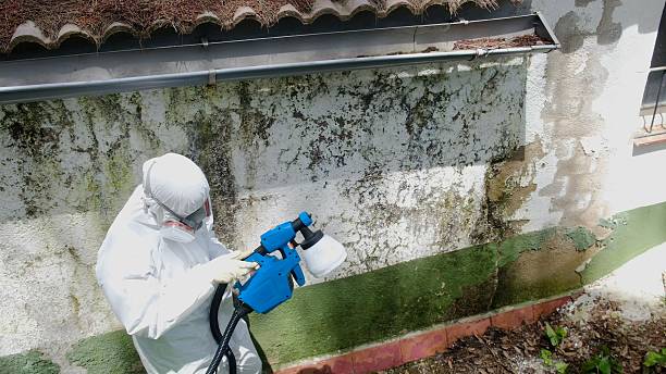 Top rated local Mold Testing specialists in Brunswick, MD